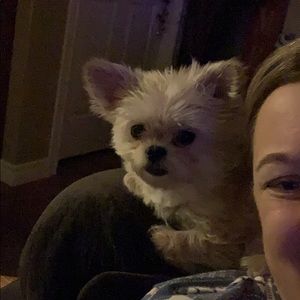 Meet your Posher, Annie